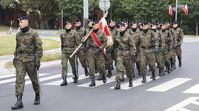 Jak silna naprawdę jest polska armia